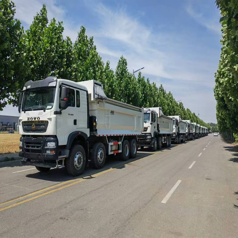Howo TX Sinotruk Howo 8x4 tipper 12 ruote diesel manuale