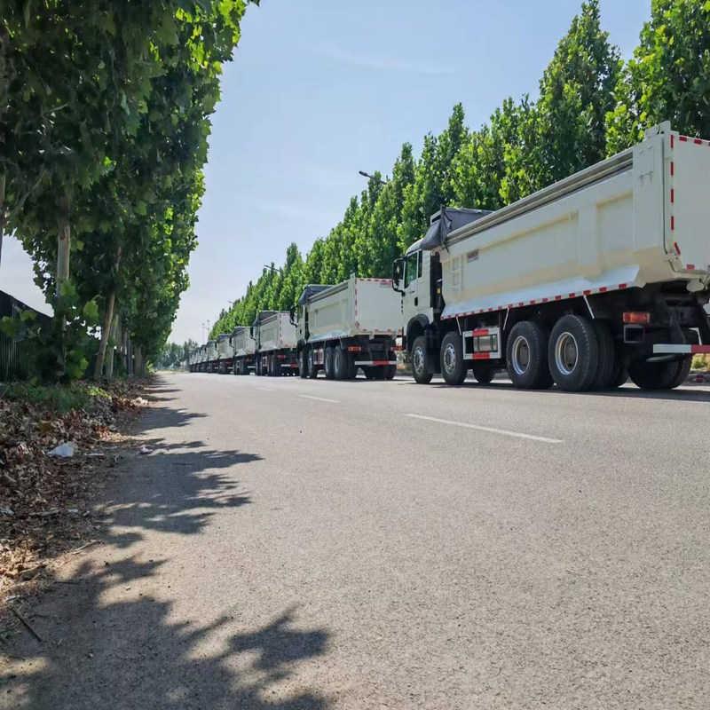Howo TX Sinotruk Howo 8x4 tipper 12 ruote diesel manuale